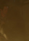 Filename=VampireDiariesWorld-dot-nl_RoswellNewMexico1x05-1872.jpg
Filesize=65KiB
Dimensions=720x404
Date added=Apr 04, 2019 VampireDiariesWorld-dot-nl_RoswellNewMexico1x05-1872.jpg