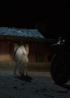 Filename=VampireDiariesWorld-dot-nl_RoswellNewMexico2x03-2417.jpg
Filesize=310KiB
Dimensions=1280x718
Date added=Apr 12, 2020 VampireDiariesWorld-dot-nl_RoswellNewMexico2x03-2417.jpg