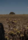 Filename=VampireDiariesWorld-dot-nl_RoswellNewMexico3x06-0587.jpg
Filesize=161KiB
Dimensions=720x404
Date added=Sep 28, 2022 VampireDiariesWorld-dot-nl_RoswellNewMexico3x06-0587.jpg