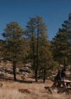 VampireDiariesWorld-dot-nl_RoswellNewMexico3x09-2092.jpg