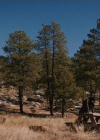 VampireDiariesWorld-dot-nl_RoswellNewMexico3x09-2095.jpg