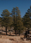 VampireDiariesWorld-dot-nl_RoswellNewMexico3x09-2096.jpg