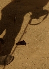 VampireDiariesWorld-dot-nl_RoswellNewMexico4x09-1371.jpg