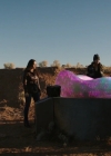 VampireDiariesWorld-dot-nl_RoswellNewMexico4x12-2014.jpg