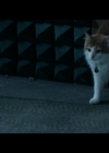 Filename=VampireDiariesWorld-dot-nl_TellMeAStory2x03-0674.jpg
Filesize=97KiB
Dimensions=720x400
Date added=Dec 27, 2019 VampireDiariesWorld-dot-nl_TellMeAStory2x03-0674.jpg