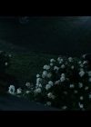Filename=VampireDiariesWorld-dot-nl_TellMeAStory2x03-3337.jpg
Filesize=140KiB
Dimensions=720x400
Date added=Dec 27, 2019 VampireDiariesWorld-dot-nl_TellMeAStory2x03-3337.jpg