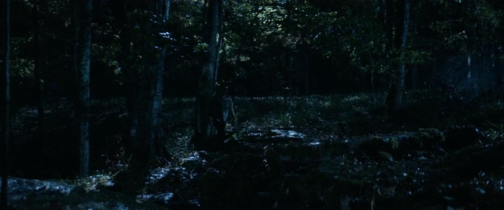 VampireDiariesWorld-dot-nl_TellMeAStory2x06-0152.jpg