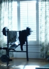 Filename=VampireDiariesWorld-dot-nl_TellMeAStory2x06-2780.jpg
Filesize=149KiB
Dimensions=720x300
Date added=Jan 10, 2020 VampireDiariesWorld-dot-nl_TellMeAStory2x06-2780.jpg