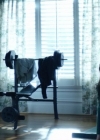 Filename=VampireDiariesWorld-dot-nl_TellMeAStory2x06-2781.jpg
Filesize=144KiB
Dimensions=720x300
Date added=Jan 10, 2020 VampireDiariesWorld-dot-nl_TellMeAStory2x06-2781.jpg
