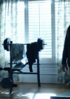 Filename=VampireDiariesWorld-dot-nl_TellMeAStory2x06-2783.jpg
Filesize=144KiB
Dimensions=720x300
Date added=Jan 10, 2020 VampireDiariesWorld-dot-nl_TellMeAStory2x06-2783.jpg