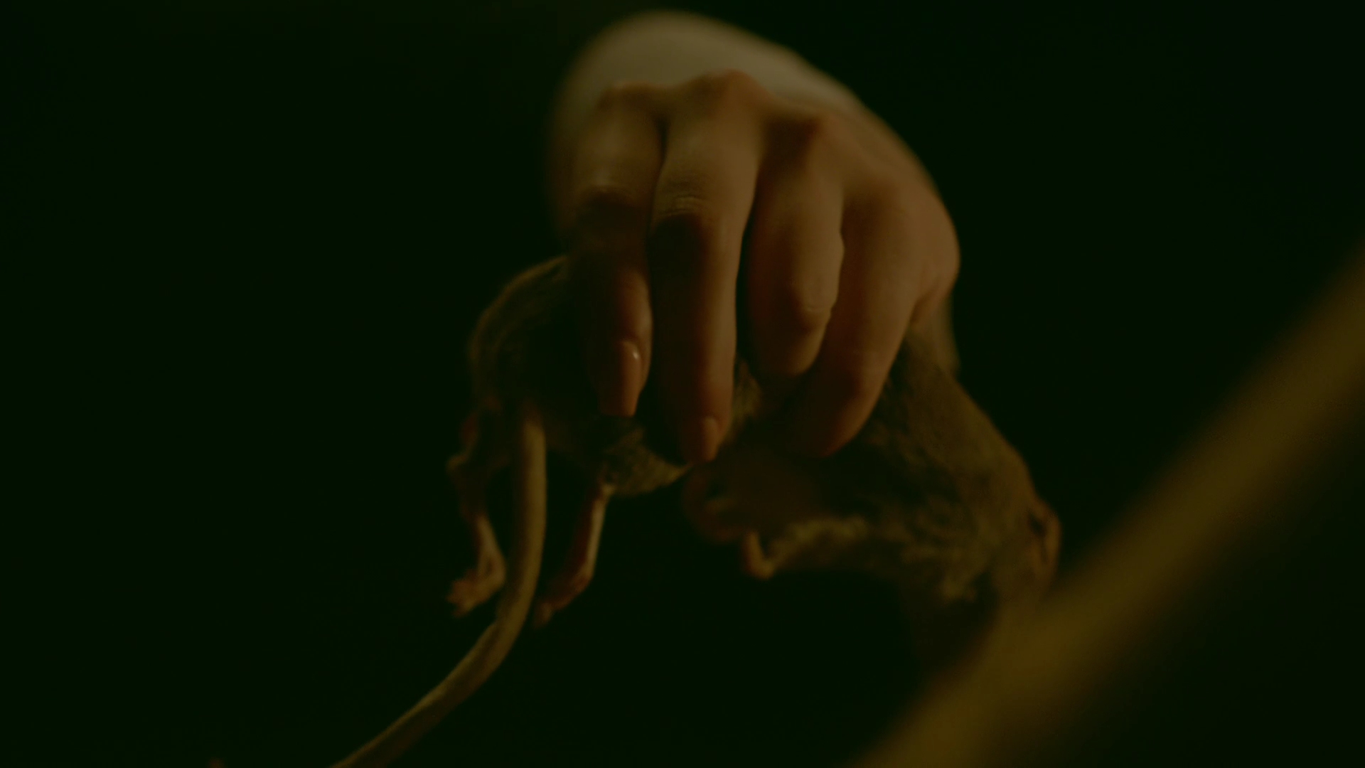 VampireDiariesWorld-dot-nl_Legacies1x01ThisIsthePartWhereYouRun02373.jpg VampireDiariesWorld-dot-nl_Legacies1x01ThisIsthePartWhereYouRun02373.jpg