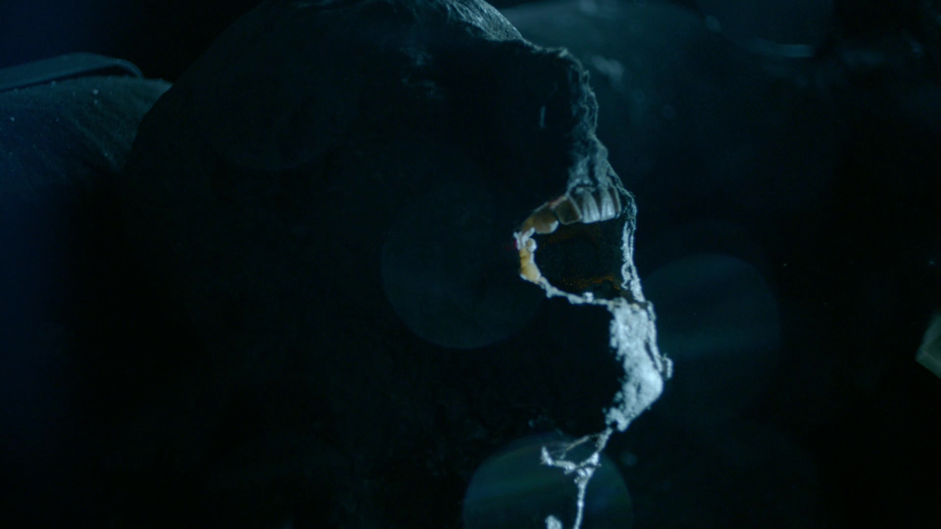 VampireDiariesWorld-dot-nl_Legacies1x01ThisIsthePartWhereYouRun02480.jpg VampireDiariesWorld-dot-nl_Legacies1x01ThisIsthePartWhereYouRun02480.jpg