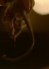 VampireDiariesWorld-dot-nl_Legacies1x01ThisIsthePartWhereYouRun02375.jpg