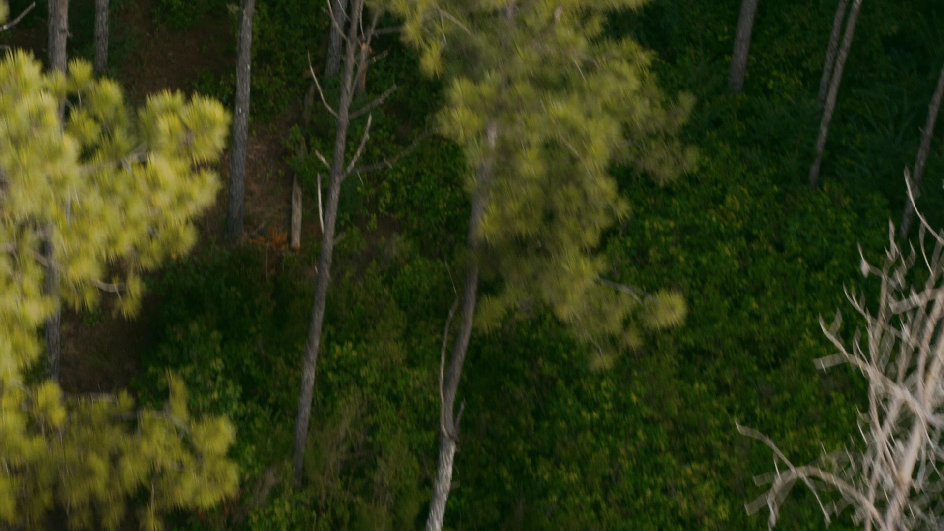 VampireDiariesWorld-dot-nl_Legacies1x02SomePeopleJustWantToWatchTheWorldBurn01792.jpg VampireDiariesWorld-dot-nl_Legacies1x02SomePeopleJustWantToWatchTheWorldBurn01792.jpg