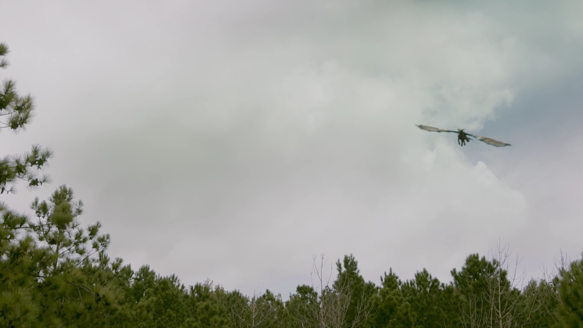 VampireDiariesWorld-dot-nl_Legacies1x02SomePeopleJustWantToWatchTheWorldBurn01823.jpg VampireDiariesWorld-dot-nl_Legacies1x02SomePeopleJustWantToWatchTheWorldBurn01823.jpg