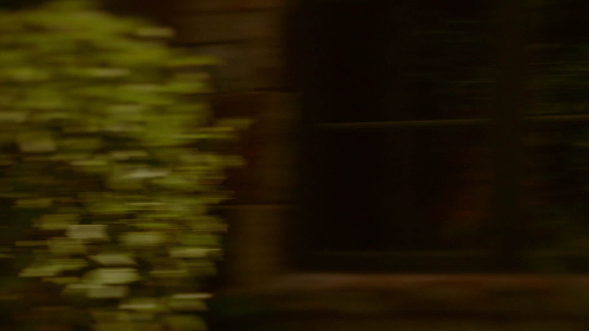 VampireDiariesWorld-dot-nl_Legacies1x03WereBeingPunkedPedro00824.jpg VampireDiariesWorld-dot-nl_Legacies1x03WereBeingPunkedPedro00824.jpg