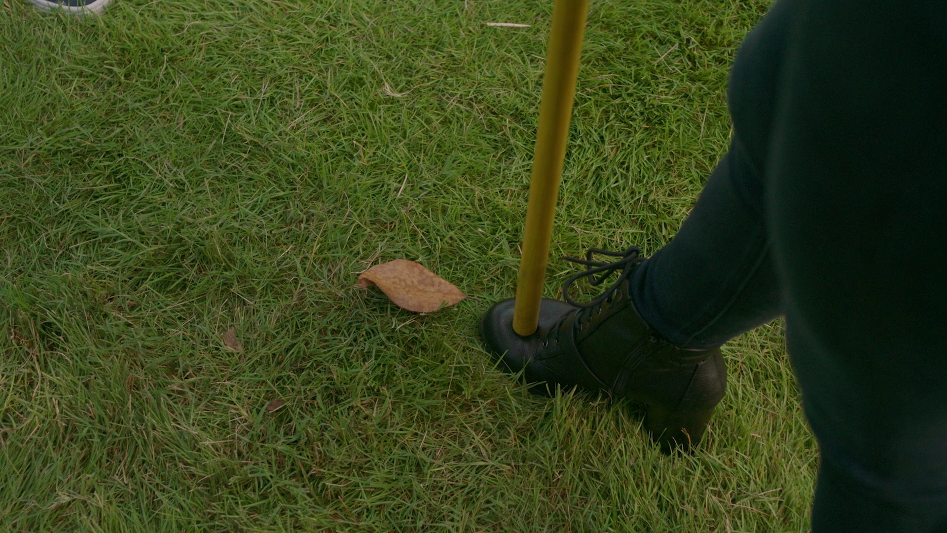 VampireDiariesWorld-dot-nl_Legacies1x03WereBeingPunkedPedro00940.jpg VampireDiariesWorld-dot-nl_Legacies1x03WereBeingPunkedPedro00940.jpg