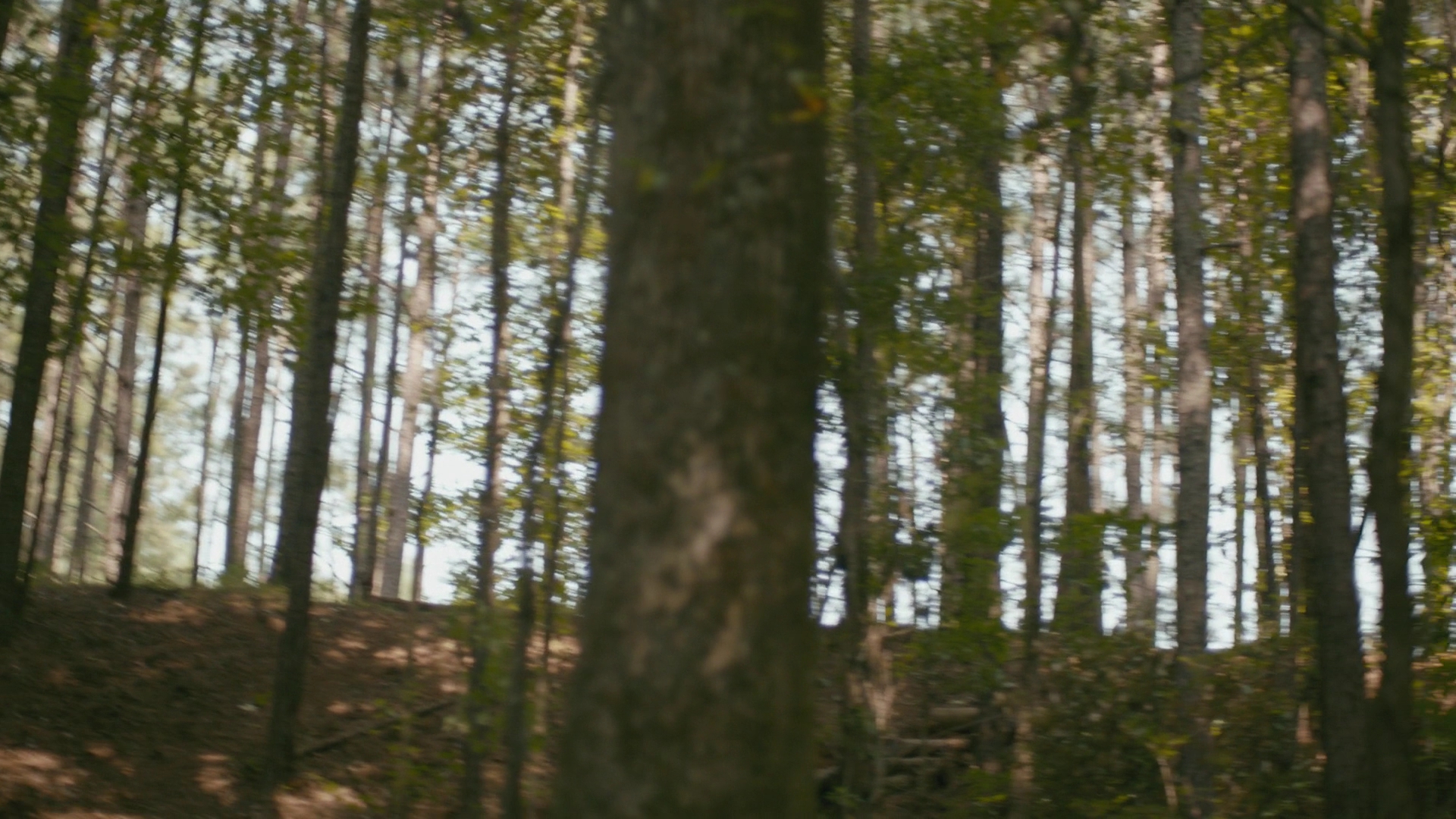 VampireDiariesWorld-dot-nl_Legacies1x03WereBeingPunkedPedro01328.jpg VampireDiariesWorld-dot-nl_Legacies1x03WereBeingPunkedPedro01328.jpg