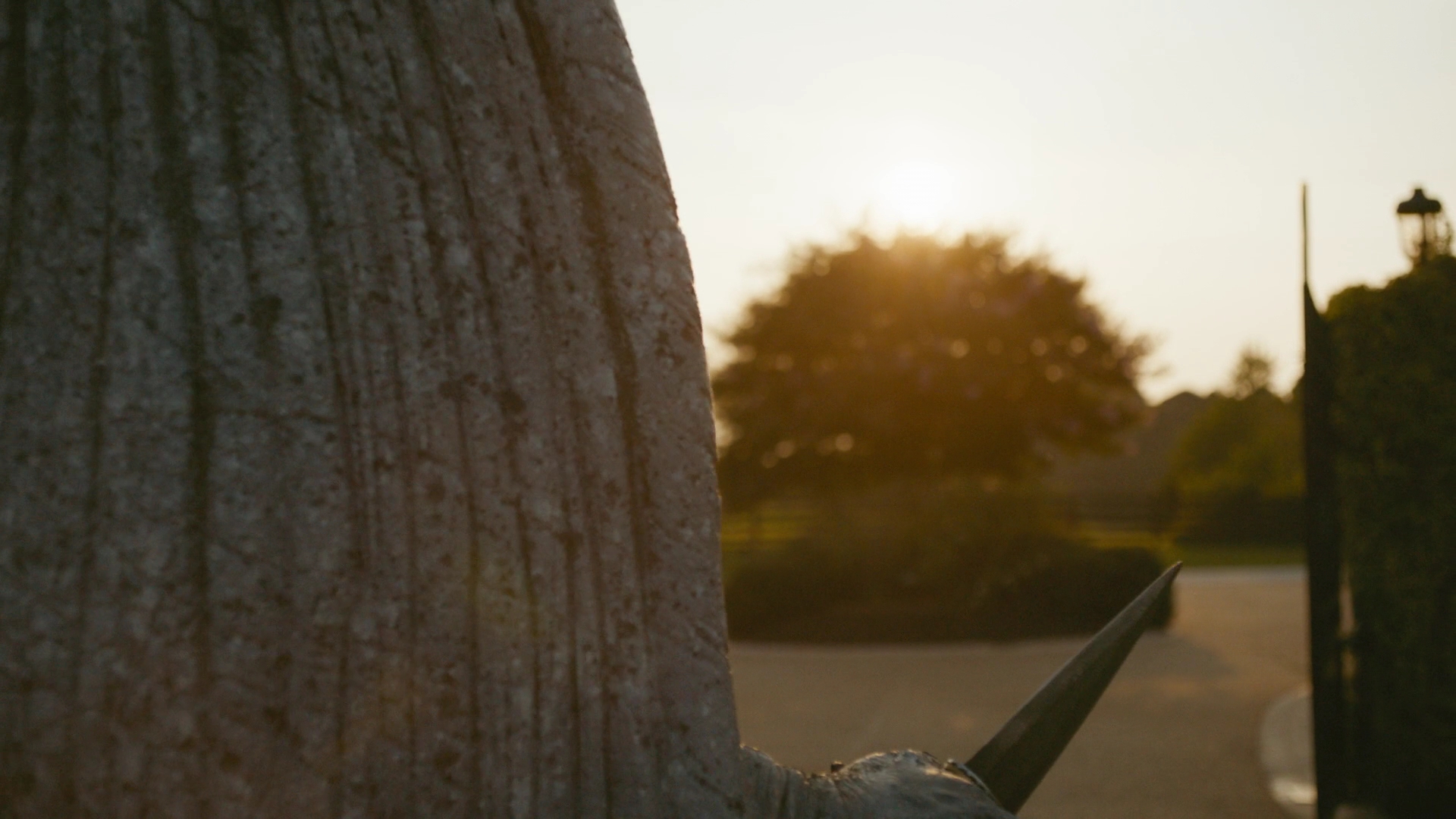 VampireDiariesWorld-dot-nl_Legacies1x03WereBeingPunkedPedro01368.jpg VampireDiariesWorld-dot-nl_Legacies1x03WereBeingPunkedPedro01368.jpg