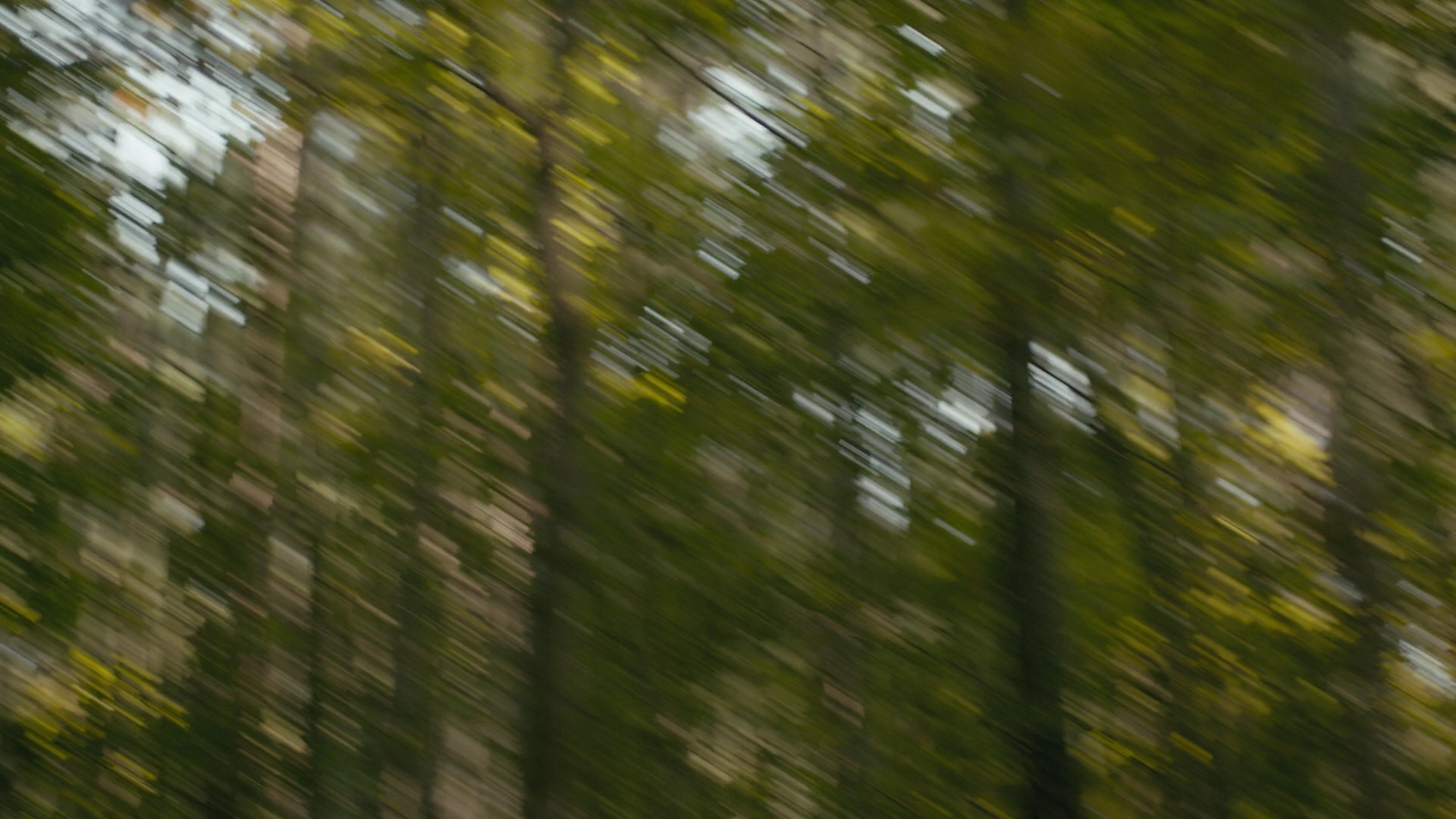 VampireDiariesWorld-dot-nl_Legacies1x03WereBeingPunkedPedro01522.jpg