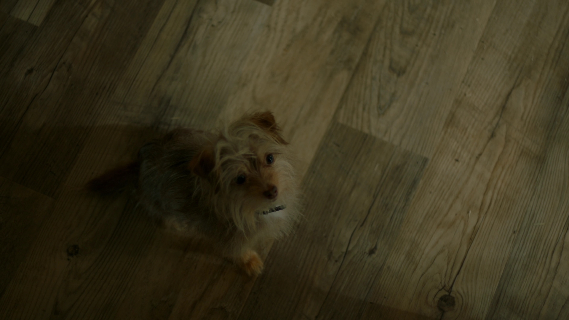 VampireDiariesWorld-dot-nl_Legacies1x08MaybeIShouldStartFromTheEnd00278.jpg VampireDiariesWorld-dot-nl_Legacies1x08MaybeIShouldStartFromTheEnd00278.jpg