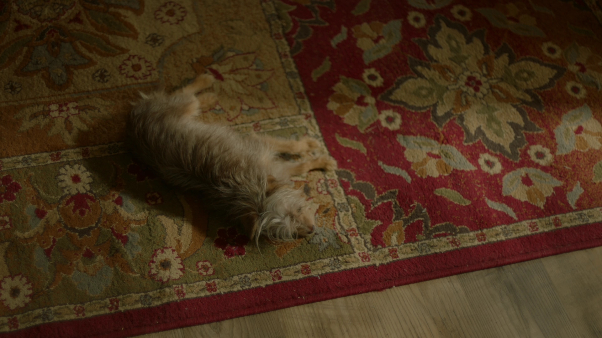 VampireDiariesWorld-dot-nl_Legacies1x08MaybeIShouldStartFromTheEnd00379.jpg