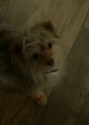 VampireDiariesWorld-dot-nl_Legacies1x08MaybeIShouldStartFromTheEnd00281.jpg