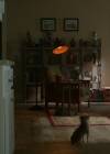 VampireDiariesWorld-dot-nl_Legacies1x08MaybeIShouldStartFromTheEnd00286.jpg