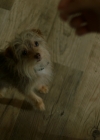 VampireDiariesWorld-dot-nl_Legacies1x08MaybeIShouldStartFromTheEnd00288.jpg