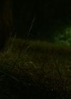 VampireDiariesWorld-dot-nl_Legacies1x08MaybeIShouldStartFromTheEnd01981.jpg