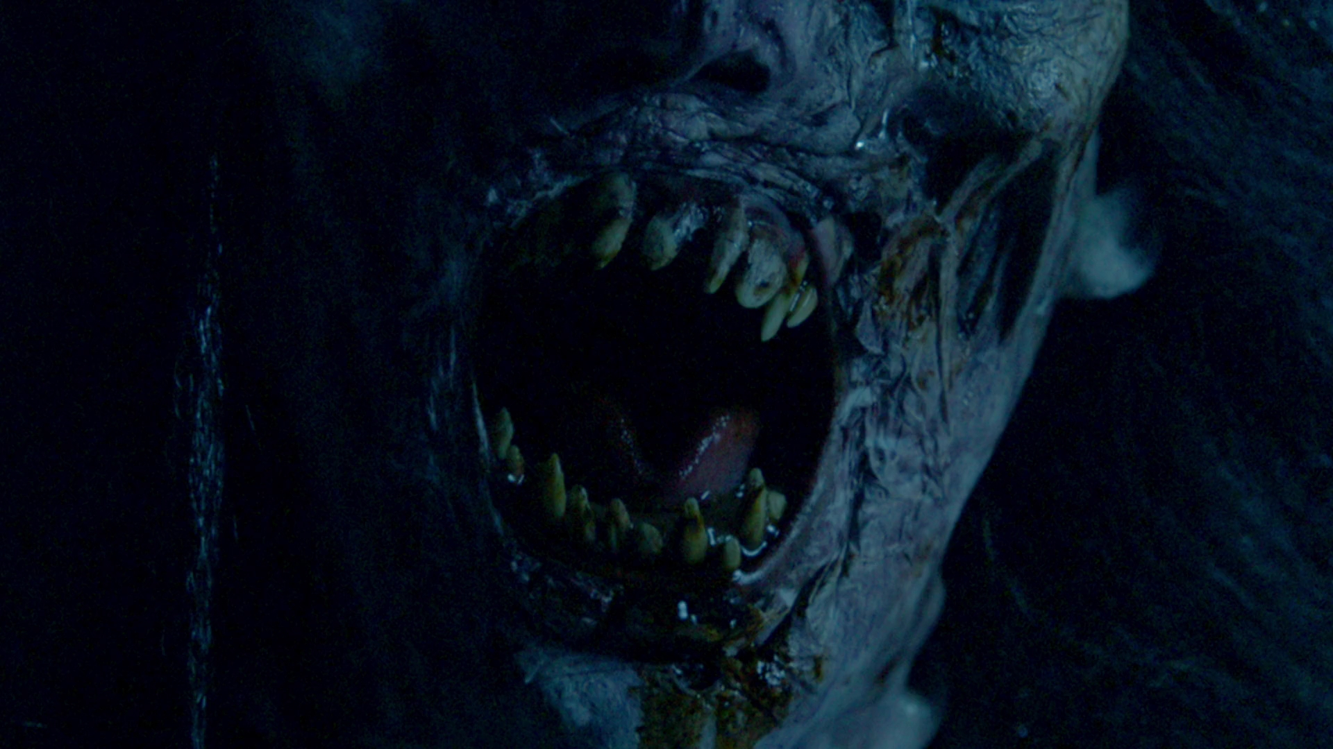 VampireDiariesWorld-dot-nl_Legacies1x0WhatWasHopeDoingInYourDreams01782.jpg VampireDiariesWorld-dot-nl_Legacies1x0WhatWasHopeDoingInYourDreams01782.jpg