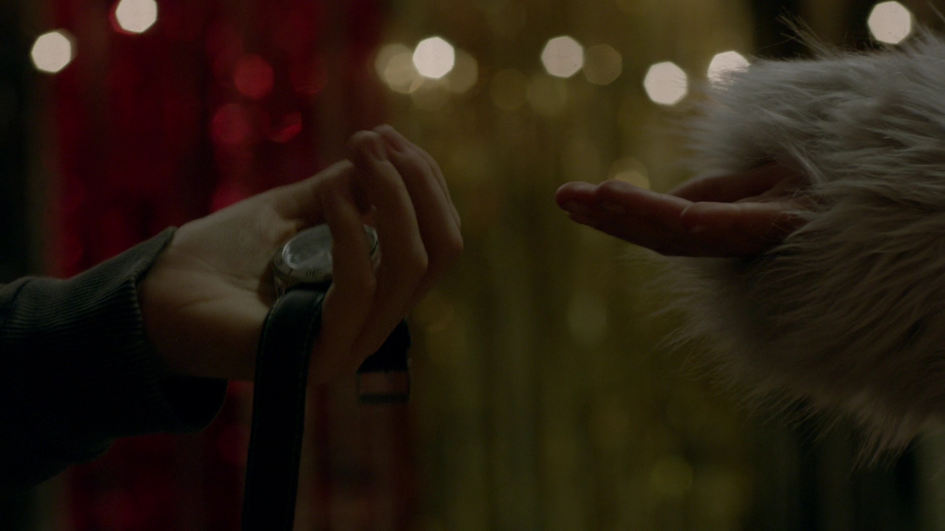 VampireDiariesWorld-dot-nl_Legacies1x10TheresAWorldWhereYourDreamsComeTrue01150.jpg VampireDiariesWorld-dot-nl_Legacies1x10TheresAWorldWhereYourDreamsComeTrue01150.jpg