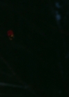 VampireDiariesWorld-dot-nl_Legacies1x10TheresAWorldWhereYourDreamsComeTrue02053.jpg