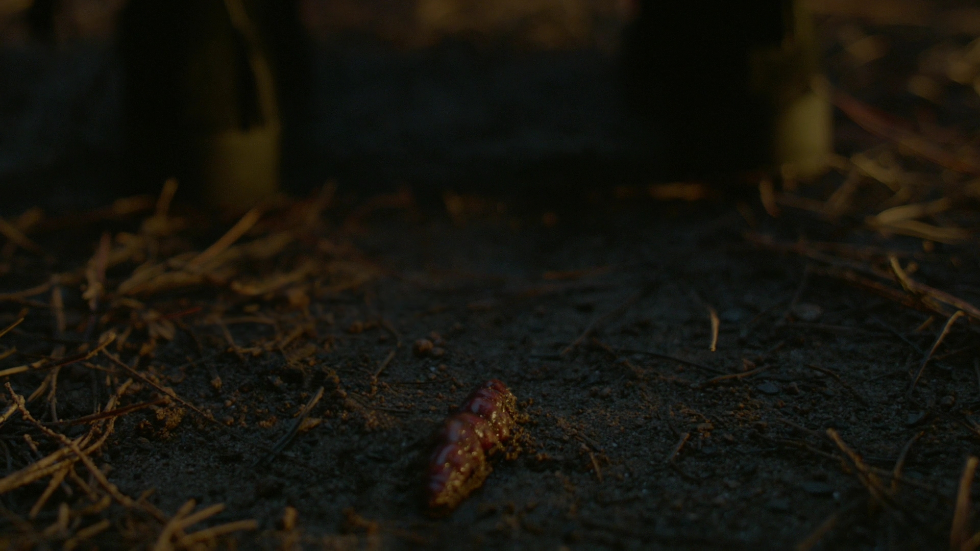 VampireDiariesWorld-dot-nl_Legacies1x11WereGonnaNeedASpotlight00089.jpg