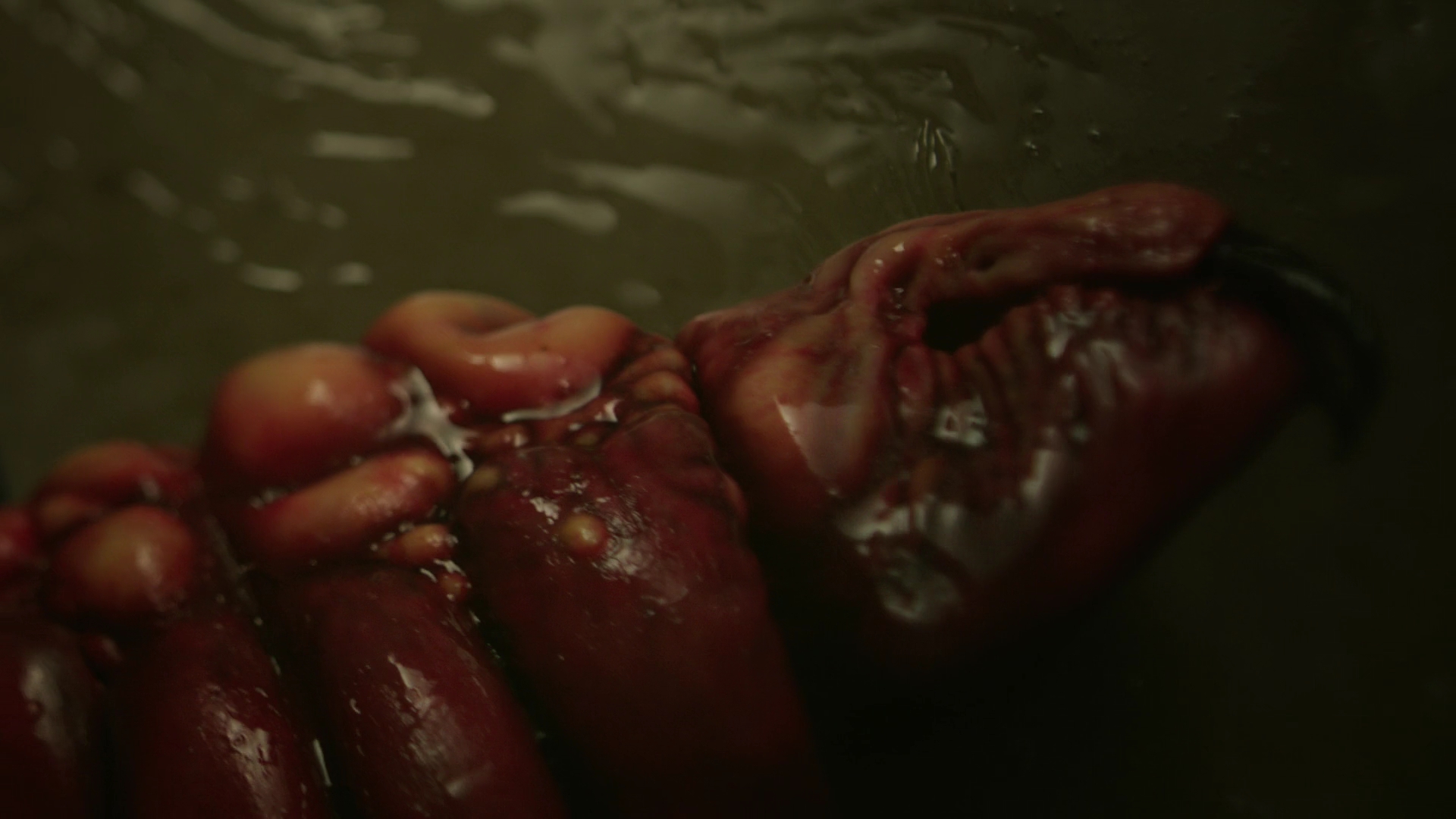 VampireDiariesWorld-dot-nl_Legacies1x11WereGonnaNeedASpotlight01837.jpg