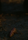 VampireDiariesWorld-dot-nl_Legacies1x11WereGonnaNeedASpotlight00089.jpg