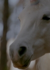 VampireDiariesWorld-dot-nl_Legacies1x11WereGonnaNeedASpotlight00811.jpg