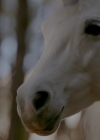 VampireDiariesWorld-dot-nl_Legacies1x11WereGonnaNeedASpotlight00812.jpg