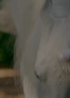 Bestandsnaam=VampireDiariesWorld-dot-nl_Legacies1x11WereGonnaNeedASpotlight00842.jpg
Bestandsgrootte=719KiB
Afmetingen = 1920x1080
Datum toegevoegd = 20 nov 2019 VampireDiariesWorld-dot-nl_Legacies1x11WereGonnaNeedASpotlight00842.jpg