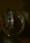 VampireDiariesWorld-dot-nl_Legacies1x11WereGonnaNeedASpotlight02406.jpg