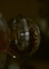 VampireDiariesWorld-dot-nl_Legacies1x11WereGonnaNeedASpotlight02407.jpg