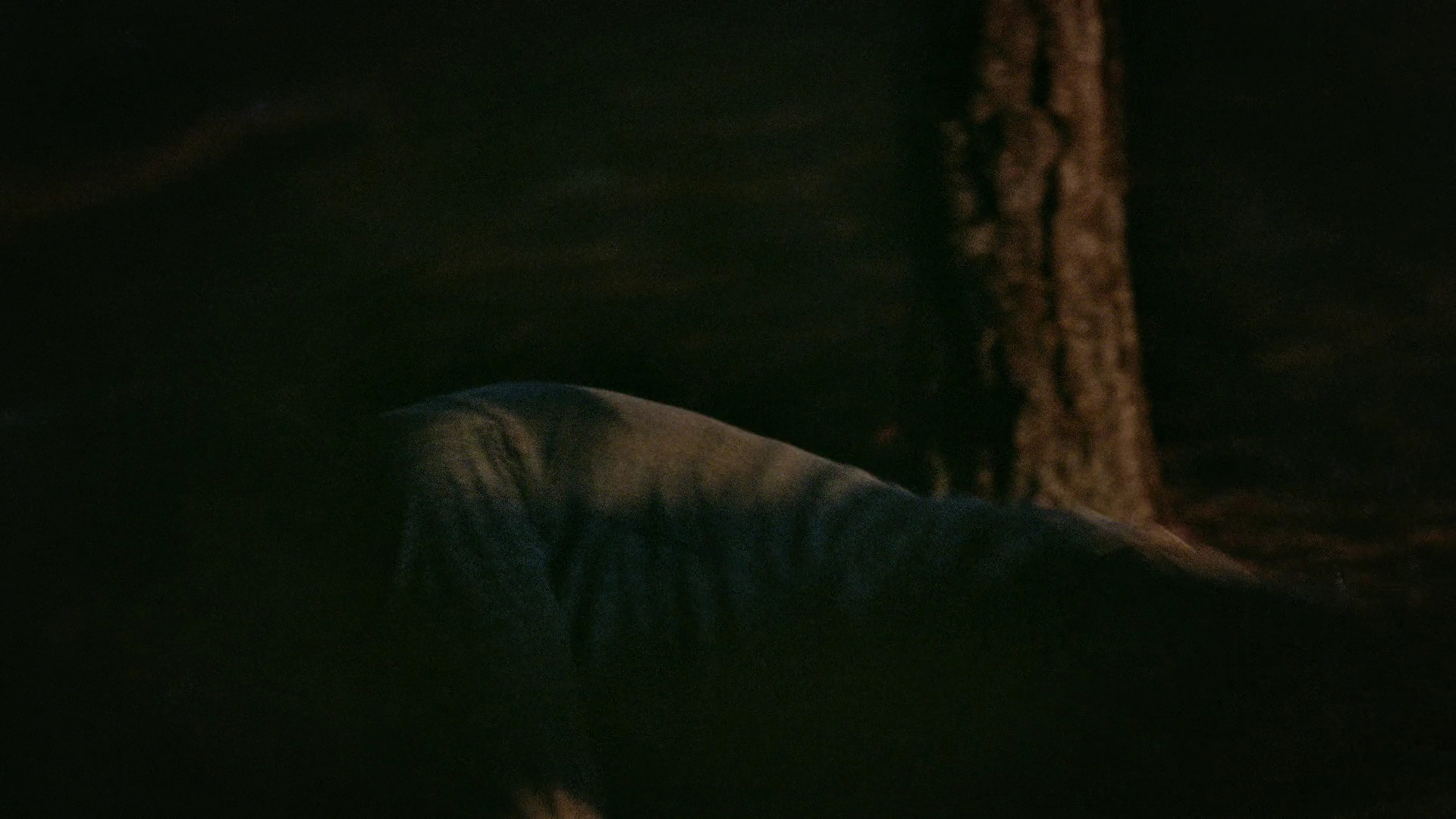 VampireDiariesWorld-dot-nl_Legacies1x13TheBoyWhoStillHasALotToDo01885.jpg