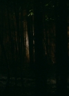 VampireDiariesWorld-dot-nl_Legacies1x13TheBoyWhoStillHasALotToDo00050.jpg