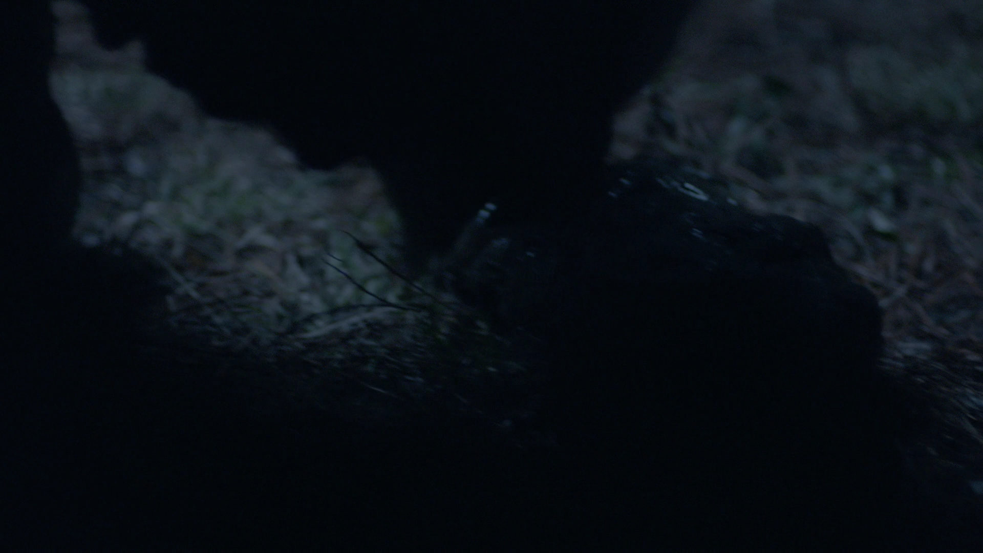 VampireDiariesWorld-dot-nl_Legacies1x15IllTellYouAStory01213.jpg