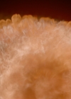 VampireDiariesWorld-dot-nl_Legacies1x15IllTellYouAStory00488.jpg