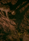 VampireDiariesWorld-dot-nl_Legacies1x15IllTellYouAStory00803.jpg