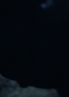 VampireDiariesWorld-dot-nl_Legacies1x15IllTellYouAStory01212.jpg