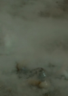 VampireDiariesWorld-dot-nl_Legacies1x16TheresAlwaysALoophole01932.jpg