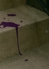 vampirediariesworld-dot-nl_Legacies2x02ThisYearWillBeDifferent01395.jpg