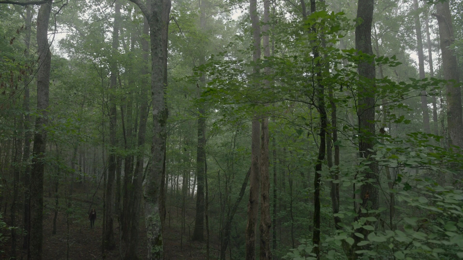 vampirediariesworld-dot-nl_Legacies2x02ThisYearWillBeDifferent00000.jpg